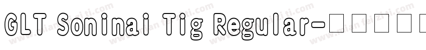 GLT Soninai Tig Regular字体转换